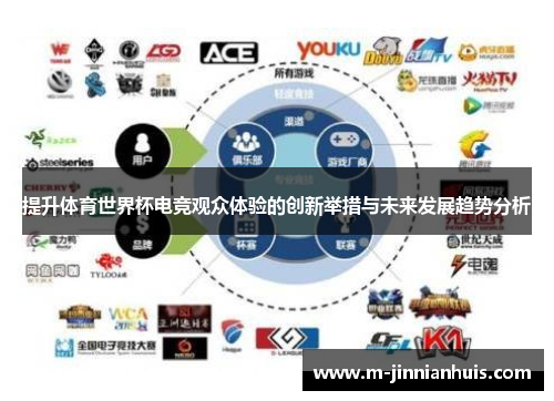 提升体育世界杯电竞观众体验的创新举措与未来发展趋势分析