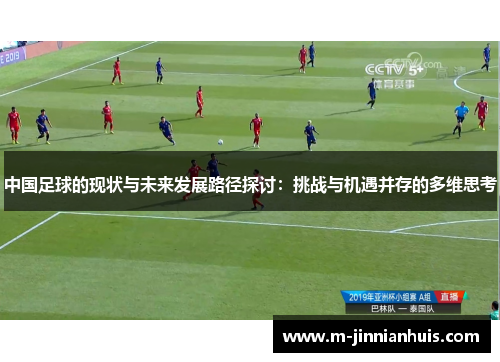 中国足球的现状与未来发展路径探讨：挑战与机遇并存的多维思考