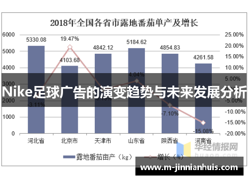 Nike足球广告的演变趋势与未来发展分析